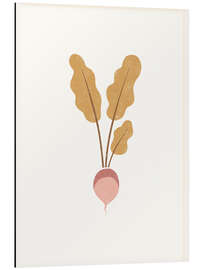 Alubild Wurzelgemüse - Steckrübe