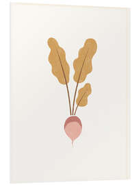 Cuadro de PVC Root vegetable - Turnip - Marta Munte