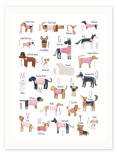 Poster Dog breeds alpahbet pink clothes