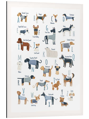 Cuadro de aluminio The Alphabet of Dogs with blue Sweaters