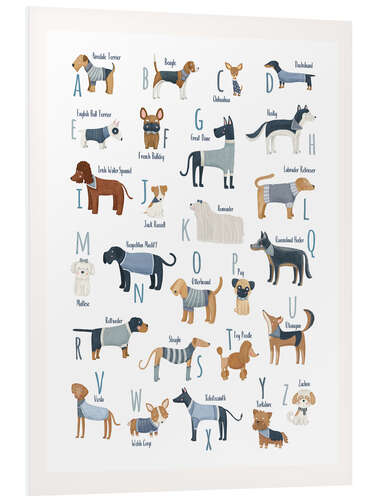 Foam board print The Alphabet of Dogs with blue Sweaters