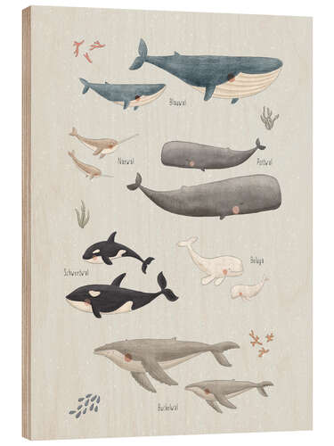 Print på træ Whale species (German)