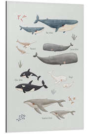 Magnettafel Walarten (englisch)