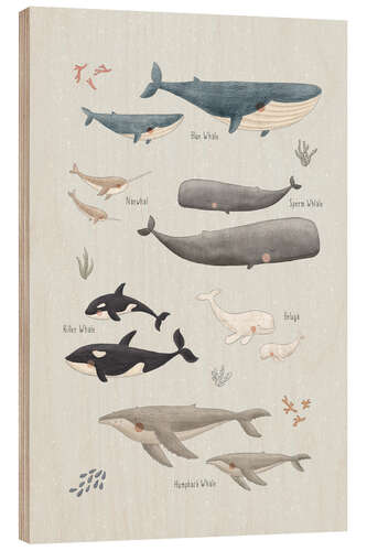 Trätavla Whale species