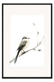 Gerahmter Kunstdruck Aquarell Langschwanzmeise