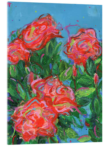Acrylglasbild Rosen