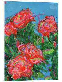 Acrylglasbild Rosen - Dawn Underwood