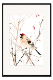 Gerahmter Kunstdruck Aquarell Stieglitz