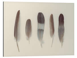 Alubild Subtile Harmonie - Assaf Frank