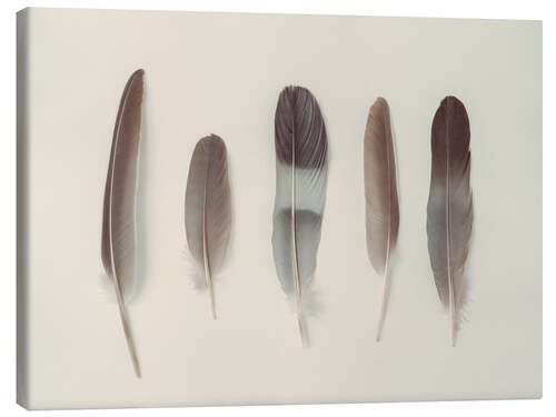 Canvas-taulu Subtle Harmony