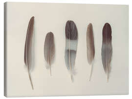 Canvas-taulu Subtle Harmony - Assaf Frank