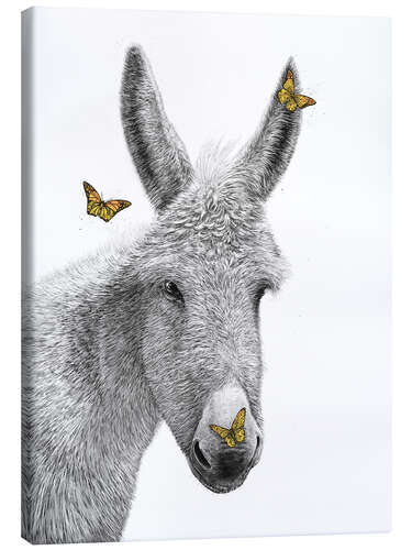 Tableau sur toile Donkey with butterfly