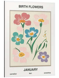 Cuadro de aluminio Birth Flowers - January