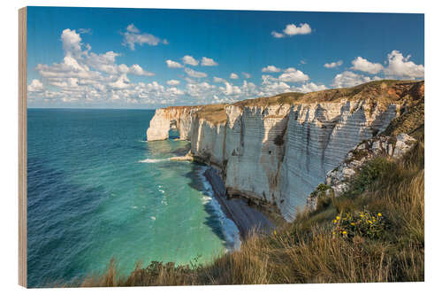 Wood print Cliff coast in Etretat, Normandy, France