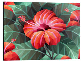 Alubild Orange Hibiskus - Maria Tuzhilkina