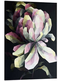 Alubild Rosa Pfingstrose auf Schwarz - Maria Tuzhilkina