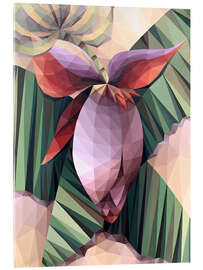 Cuadro de metacrilato Banana Flower - Maria Tuzhilkina