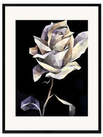 Impression artistique encadrée White Rose on Black