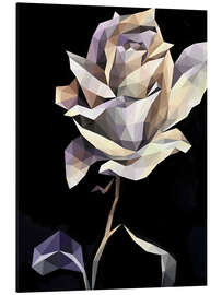 Magnettafel Wiße Rose auf Schwarzem Hintergrund