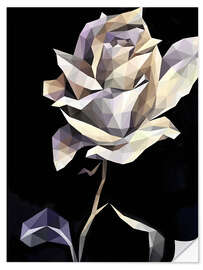 Naklejka na ścianę White Rose on Black