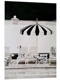 Hartschaumbild 21 Dalmatiner