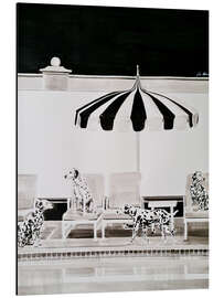 Magnettafel 21 Dalmatiner