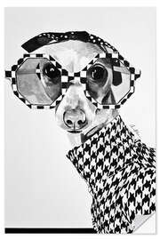Naklejka na ścianę Roberto The Italian Greyhound