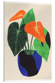 Stampa su plexi-alluminio Abstract Boho Houseplant