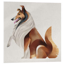Tableau en verre acrylique Collie - Dieter Braun
