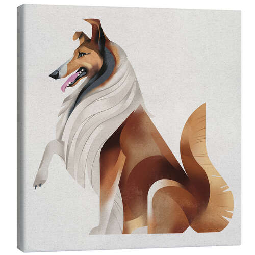 Stampa su tela Collie