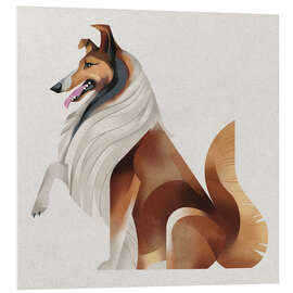 Hartschaumbild Collie - Dieter Braun