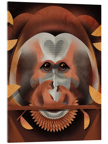 Obraz na szkle akrylowym Orangutan
