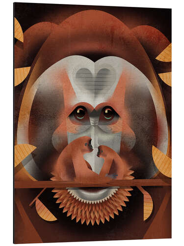Aluminium print Orangutan