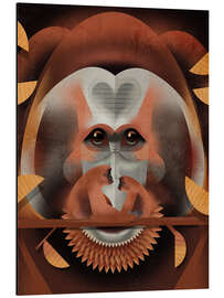 Aluminium print Orangutan - Dieter Braun