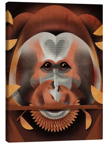 Canvas print Orangutan