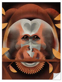 Sticker mural Orangutan - Dieter Braun