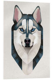Tableau en verre acrylique Siberian Husky - Dieter Braun