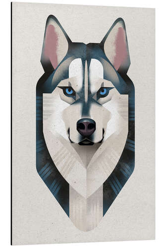 Cuadro de aluminio Siberian Husky