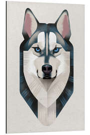 Cuadro de aluminio Siberian Husky - Dieter Braun