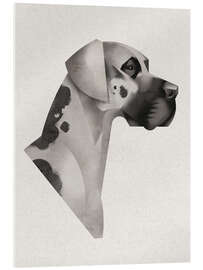 Tableau en verre acrylique Great Dane - Dieter Braun