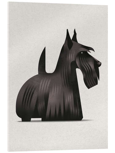 Acrylic print Scottish Terrier