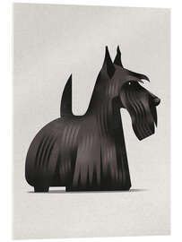 Cuadro de metacrilato Scottish Terrier - Dieter Braun