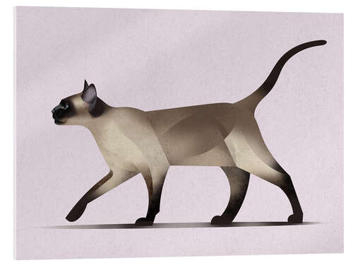 Cuadro de metacrilato Siamese Cat