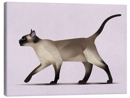 Tableau sur toile Siamese Cat
