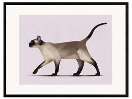 Framed art print Siamese Cat