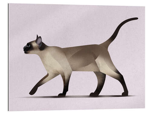 Cuadro de plexi-alu Siamese Cat