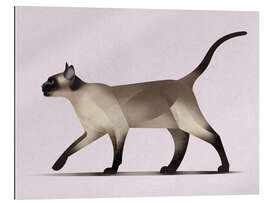 Gallery Print Siamkatze