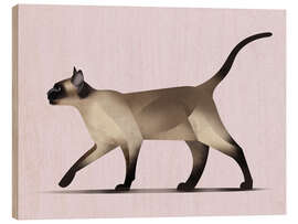 Trebilde Siamese Cat