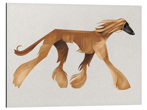 Aluminiumsbilde Afghan Hound