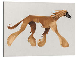 Aluminiumtavla Afghan Hound